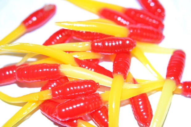 40 ct 1.5" Cam's KILLER STINGER "RED & CHARTREUSE" MINNOWS